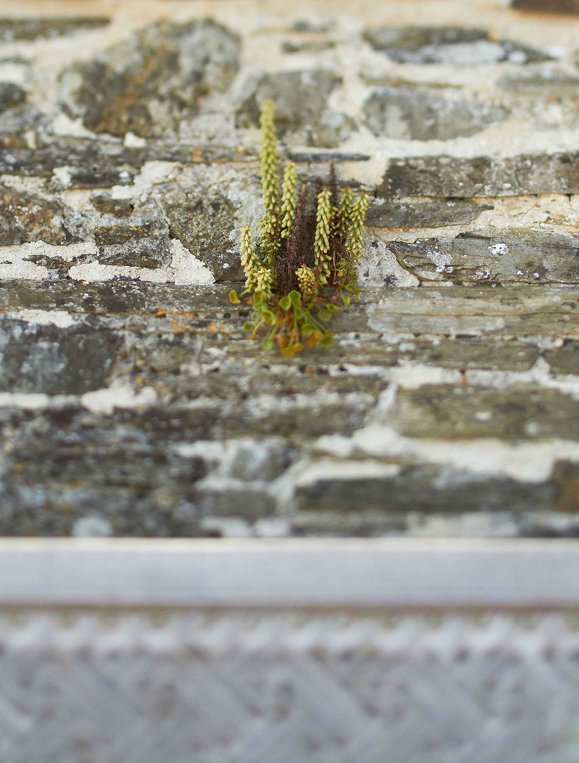 Treverra Studio